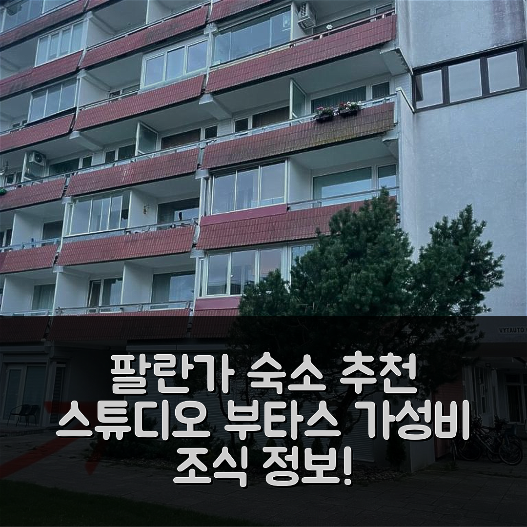 팔란가 숙소 여행 호텔 추천 스튜디오 부타스 프리 레하빌리타시요스 리곤니스 | 가성비 좋은 위치와 조식 정보 5가지