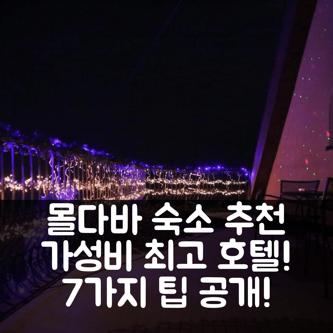 몰다바 나드 보드보우 숙소 여행 호텔 추천 모텔 오르고반 | 가성비 최강 조식과 위치 정보 7가지 팁