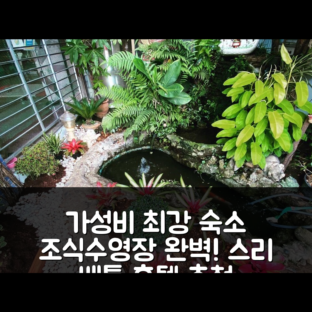 베통 숙소 여행 호텔 추천 스리 베통 호텔 | 조식과 수영장 가성비 뛰어난 5가지 이유