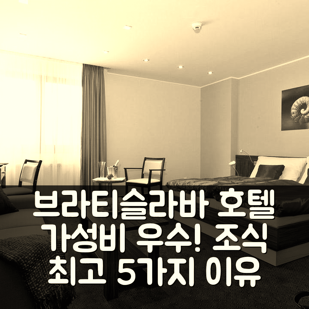 브라티슬라바 숙소 여행 호텔 추천 호텔 빅토르 | 가성비와 조식이 우수한 5가지 이유