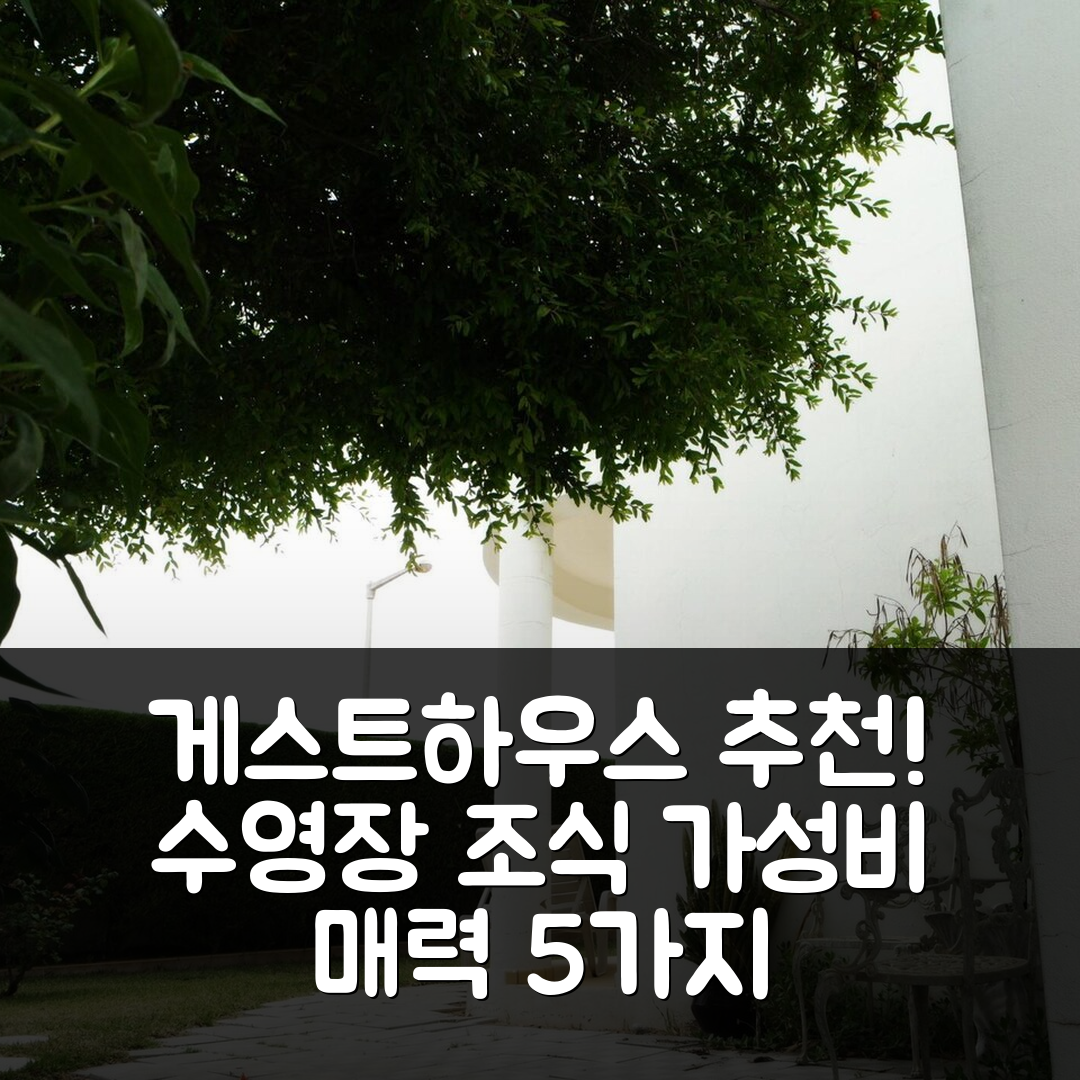 라가스 숙소 여행 빌라 프란체사 게스트하우스 | 수영장과 조식 가성비 좋은 5가지 이유