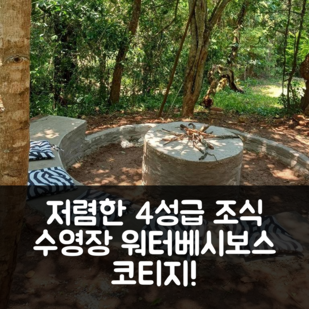 자닌 숙소 여행 호텔 추천 워터베시보스 코티지 | 가성비 뛰어난 4성급 조식과 수영장 정보 7가지