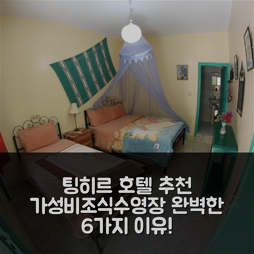 팅히르 숙소 여행 호텔 추천 팔메라이 게스트 하우스 | 가성비와 조식, 수영장이 완벽한 6가지 이유