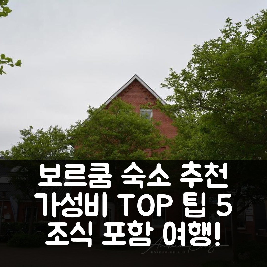 보르쿰 숙소 여행 호텔 추천 하우스 헤르만 1 | 조식 포함 가성비 좋은 5가지 팁