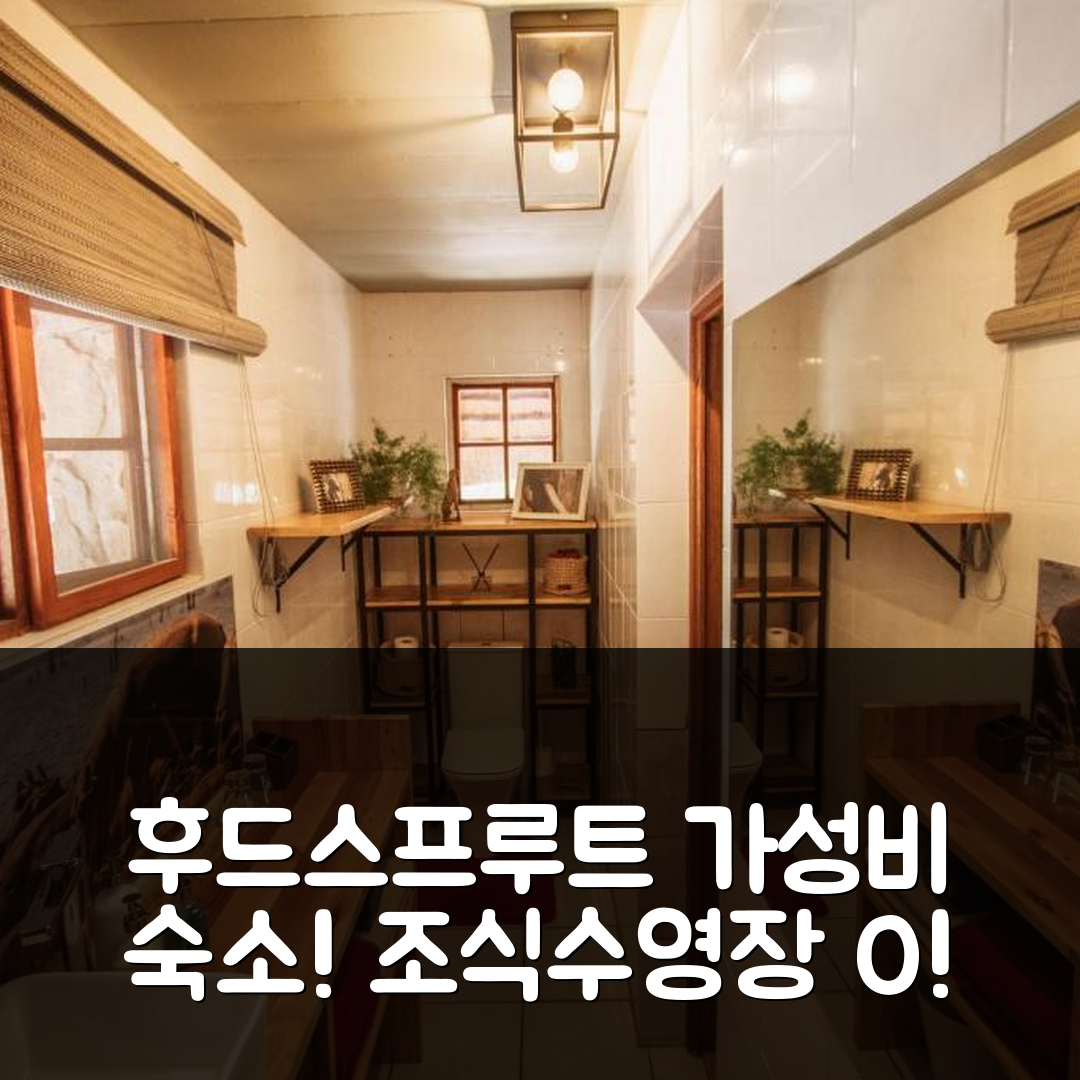 후드스프루트 숙소 여행 호텔 추천 하세캄프 패밀리 부시 로지 | 조식과 수영장 가성비 최고의 5가지 매력