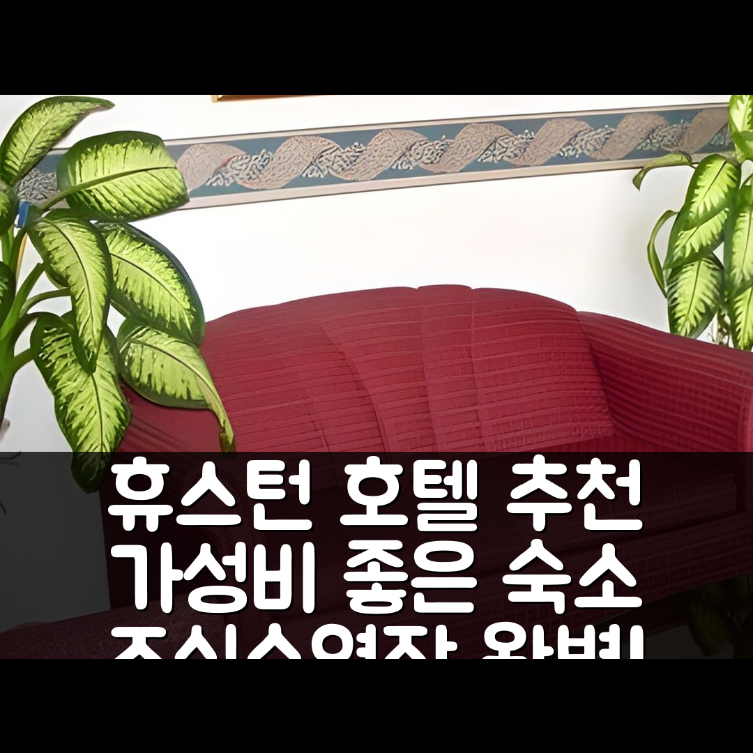 휴스턴 숙소 여행 호텔 추천 이그제큐티브 인 앤 스위트 | 조식과 수영장 완벽한 가성비 숙소 5가지 팁