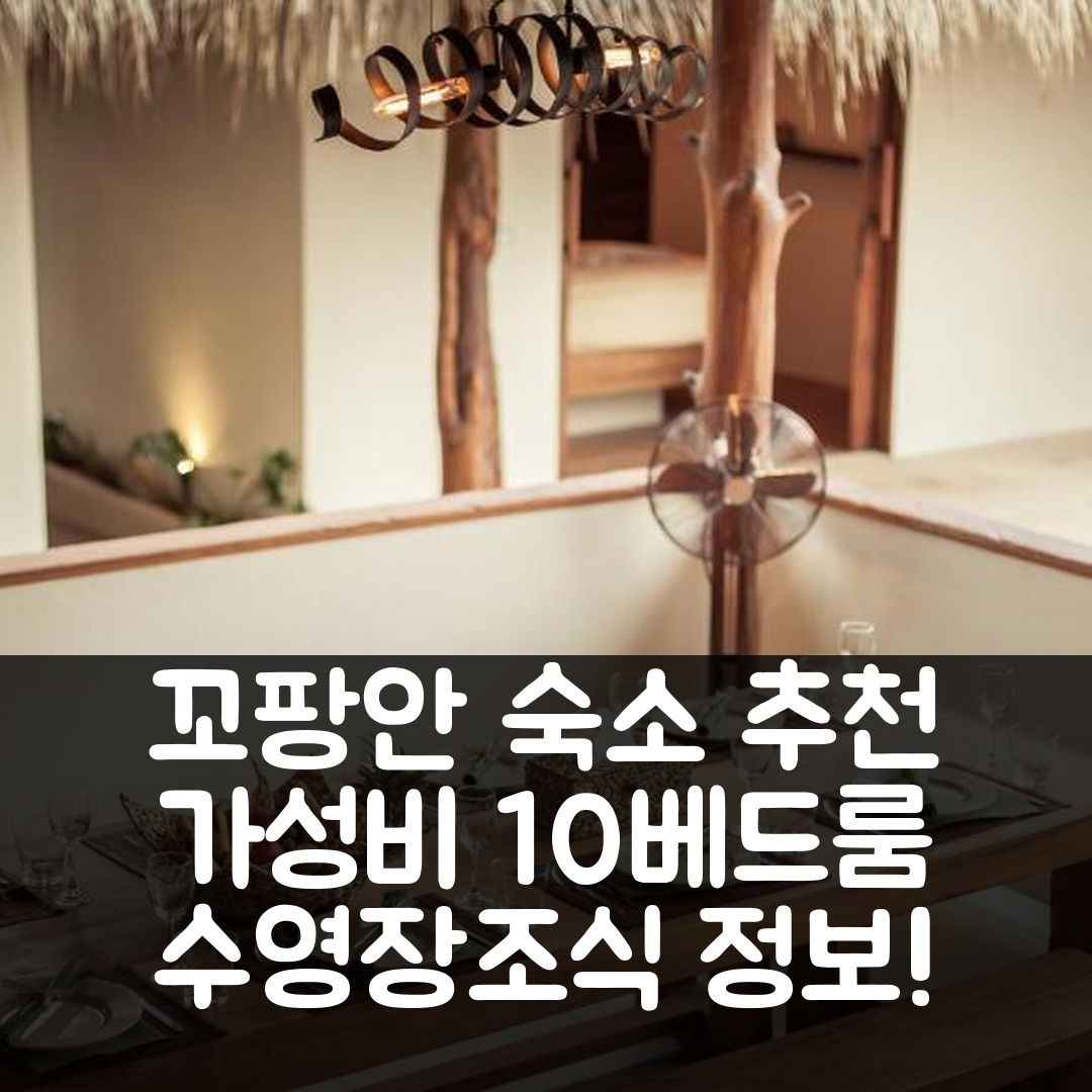 꼬팡안 숙소 여행 호텔 추천 반 탐 2 빌라스 | 10베드룸 가성비 뛰어난 수영장과 조식 정보 7가지