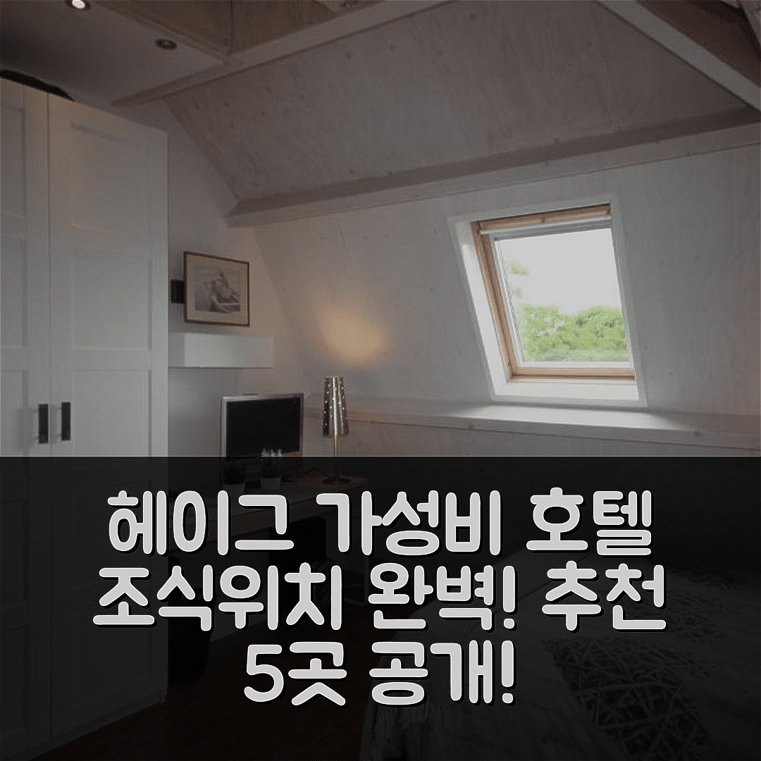 헤이그 숙소 여행 호텔 추천 드 핌펠메스 | 가성비 뛰어난 3성급 조식과 위치 정보 5가지