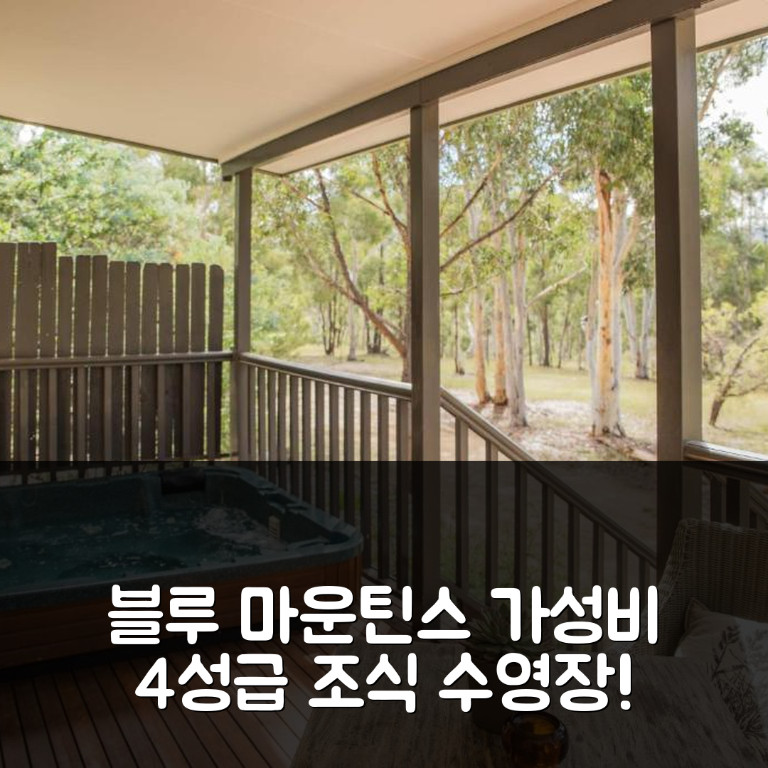 블루 마운틴스 숙소 여행 호텔 추천 마야 생츄어리 | 가성비 뛰어난 4성급 조식과 수영장 정보 7가지