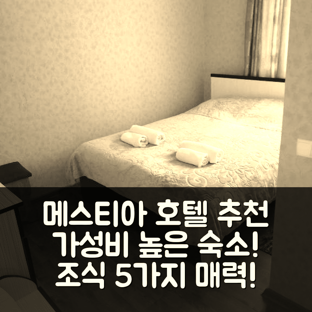 메스티아 숙소 여행 호텔 추천 제이란 자파리제 게스트하우스 | 가성비와 조식이 뛰어난 5가지 매력 포인트
