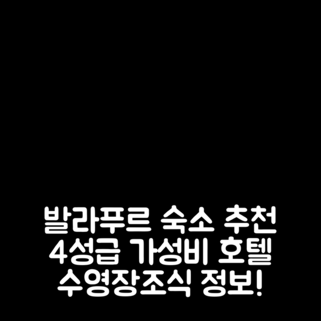 발라푸르 숙소 여행 호텔 추천 슈리니바스 레지던시 에이시 로징 | 가성비 좋은 4성급 수영장과 조식 정보 5가지