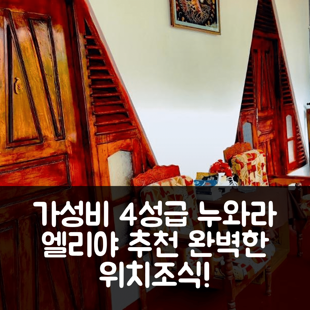 누와라 엘리야 숙소 여행 호텔 추천 싱 브라더스 | 가성비 좋은 4성급 조식과 완벽한 위치 7가지