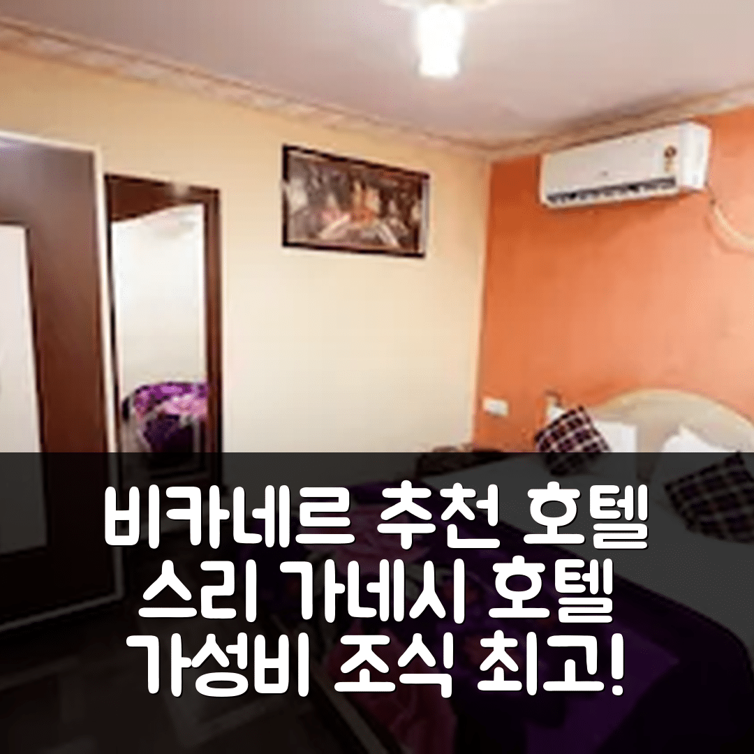 비카네르 숙소 여행 호텔 추천 스리 가네시 호텔 앤 레스토랑 | 가성비와 조식이 뛰어난 5가지 이유