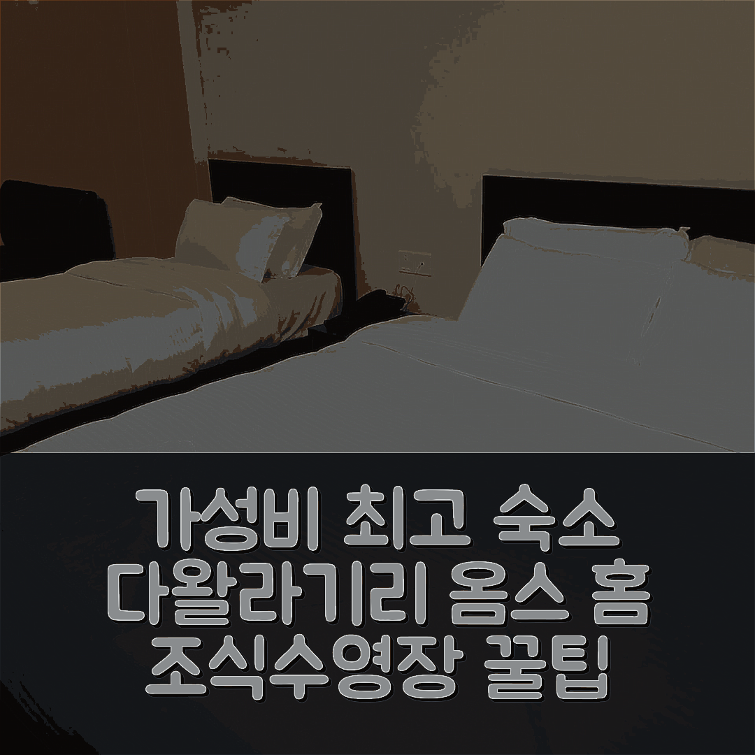 다왈라기리 숙소 여행 호텔 옴스 홈 | 가성비 뛰어난 3성급 조식과 수영장 정보 7가지 팁